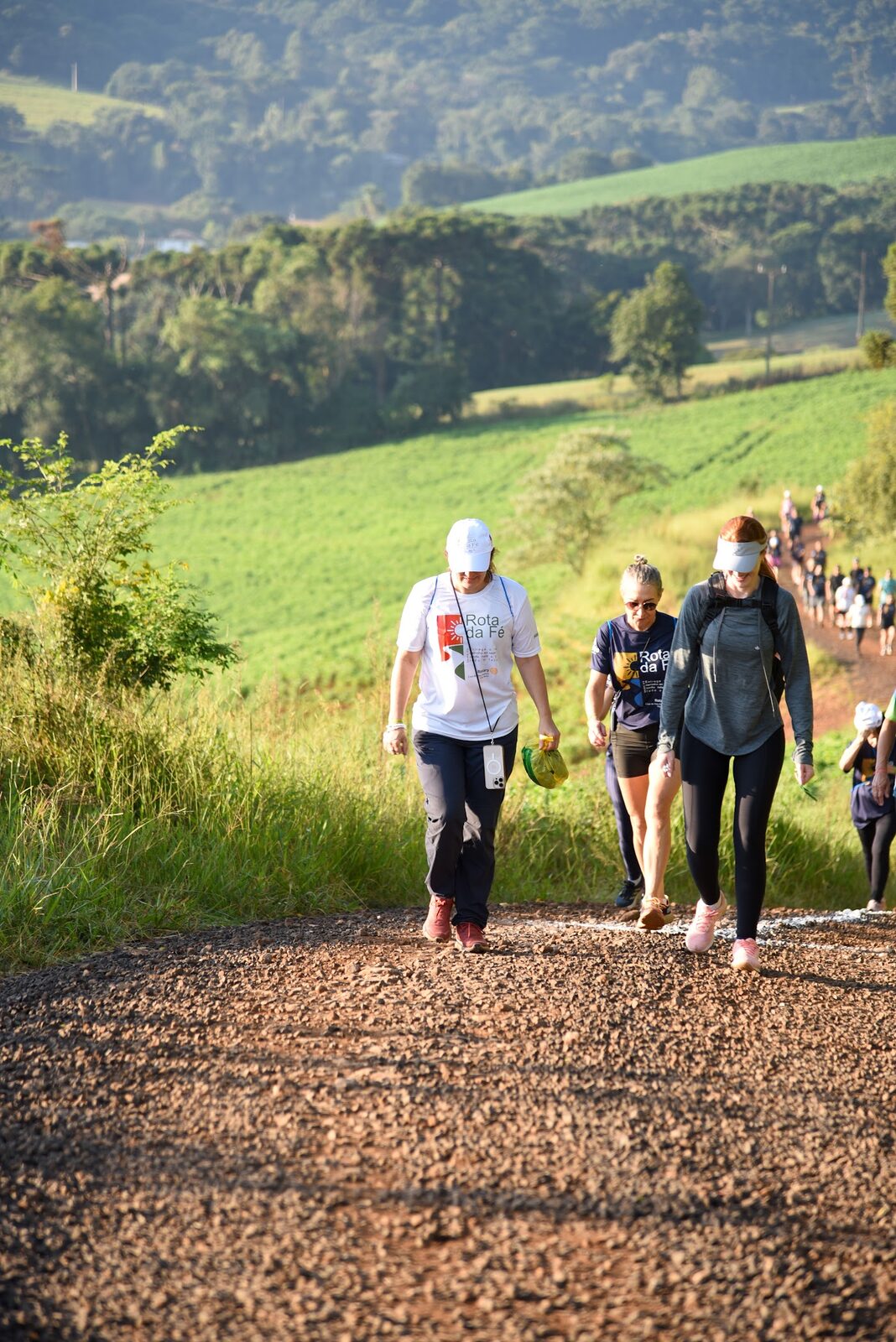 Quatro caminhantes sorrindo ao lado de uma lavoura verde