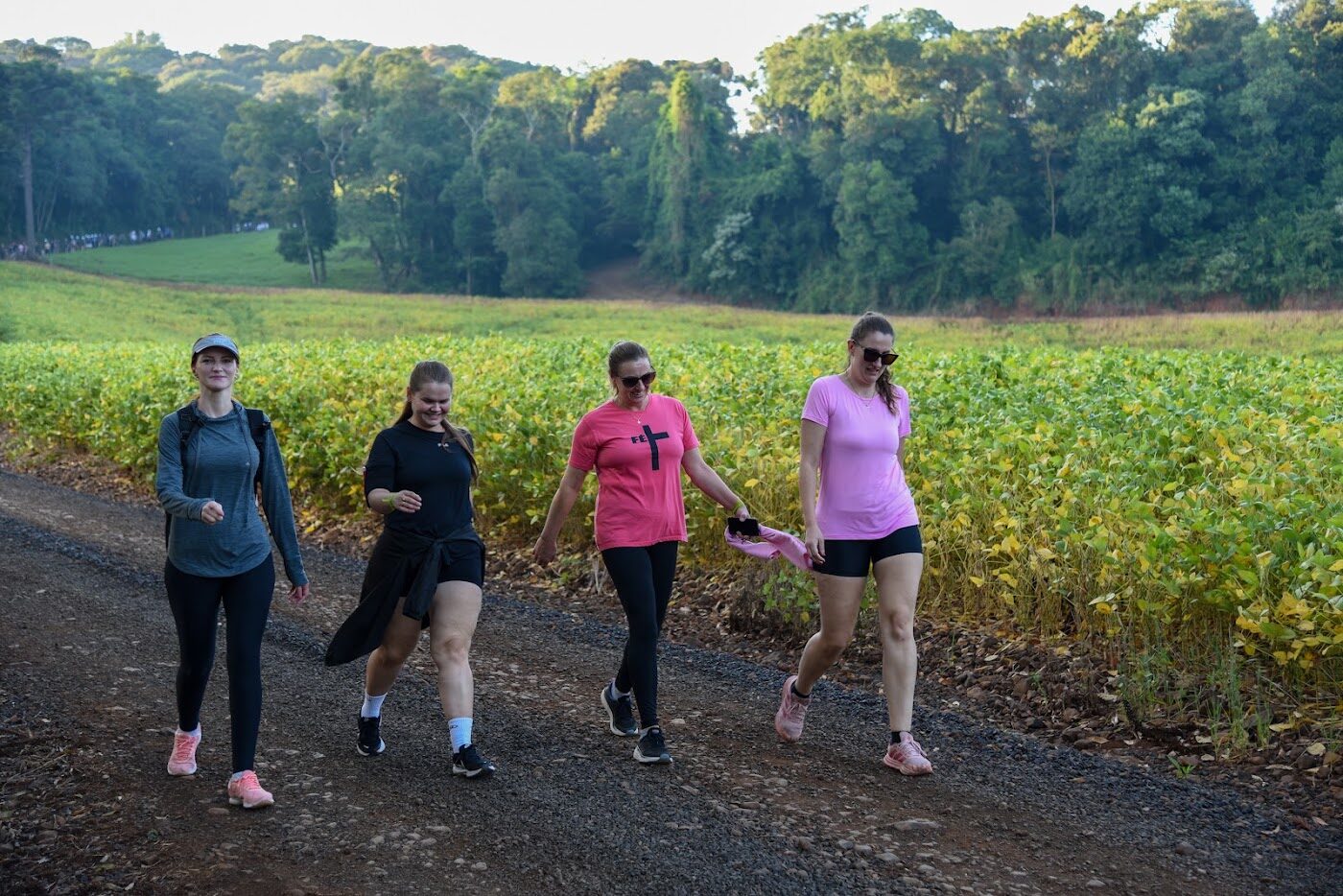 Caminhantes comemorando em grupo durante o trajeto