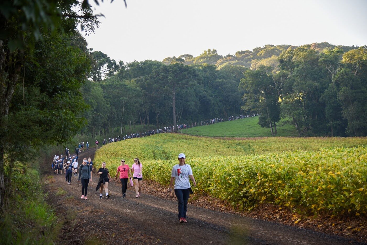 Largada da caminhada com centenas de participantes reunidos